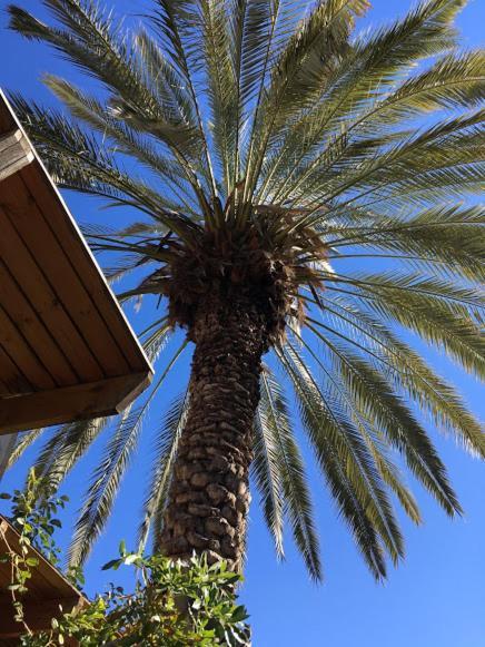 Cosy Room Near Idc & Center- Herzliya Homestay 외부 사진